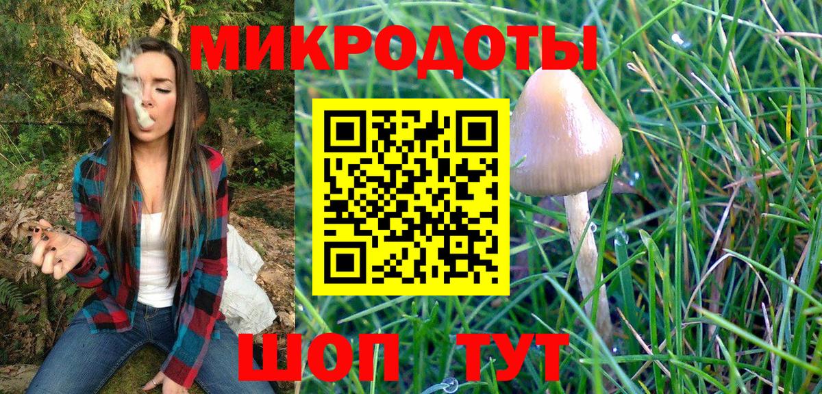 Галлюциногенные грибы Psilocybe  Галлюциногенные грибы Psilocybe  Копейск  Вход с VPN 