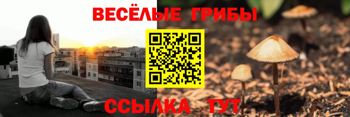Псилоцибиновые грибы Magic Shrooms Копейск